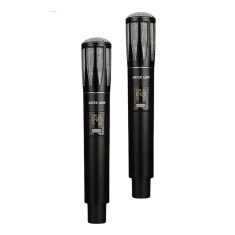 میکروفون بی سیم گرین لاین Dual Mic Cordless – ست دوتایی