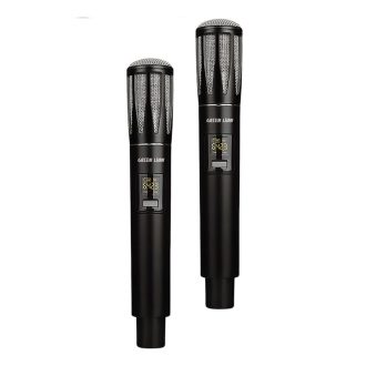 میکروفون بی سیم گرین لاین Dual Mic Cordless – ست دوتایی